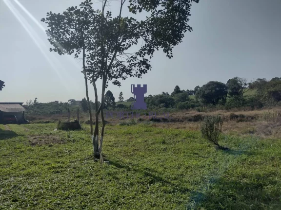 Imagem ÁREA EM BALSA NOVA COM 13.530,10M²