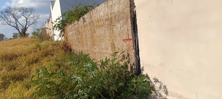 Imagem Terreno residencial para venda em Residencial Amazonas, 363m2