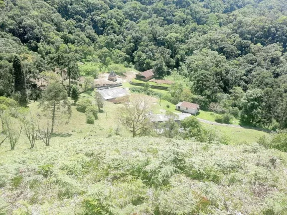 Imagem Área à venda (65,53ha) - Águas Mornas/SC