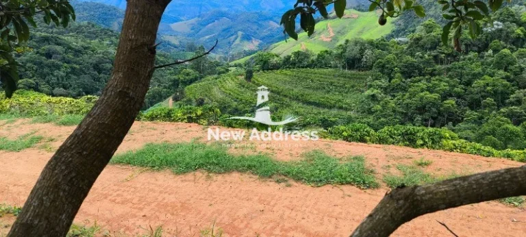 Imagem Terreno com 5.000 m² e Plantação de Café à Venda - Santa Lepoldina