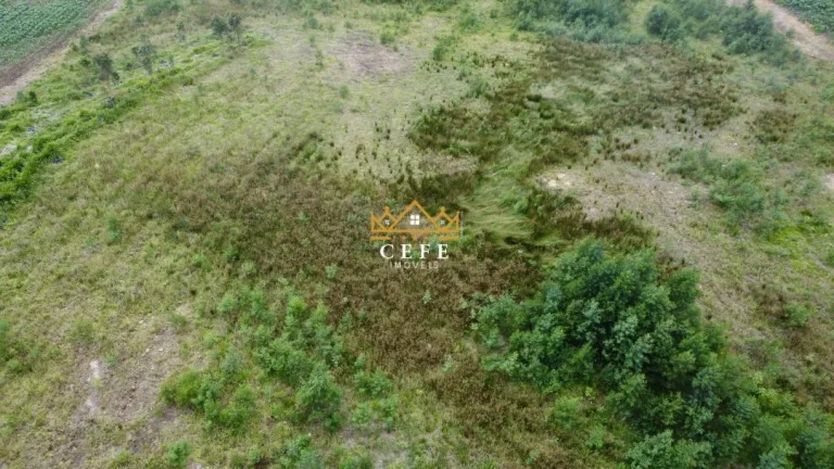 Imagem Chácara - Sítio com 2 Dormitorio(s) localizado(a) no bairro Zona Rural em Santa Maria do Herval / RIO GRANDE DO SUL Ref.:1593