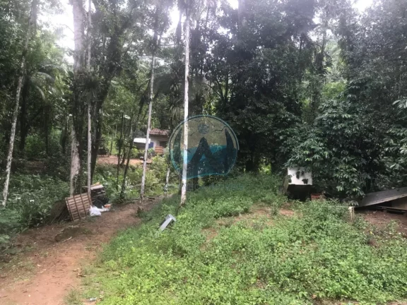 Imagem Terreno à venda em Ubatuba-SP, Horto Figueira: 200m² de área promissora!