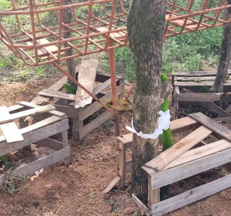Imagem SITIO RURAL em MONTE MOR - SP, centro