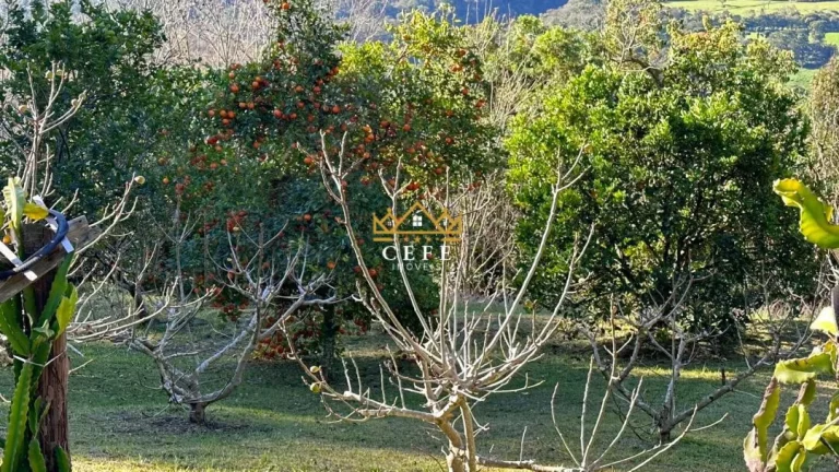 Imagem Chácara - Sítio com 4 Dormitorio(s) localizado(a) no bairro Linha Imperial em Nova Petrópolis / RIO GRANDE DO SUL Ref.:1506