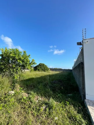 Imagem Terreno no Mosqueiro - Espaço amplo de 980m² à venda | Posição Norte