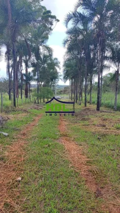 Imagem Chácara com 4 Hectares em Hidrolândia - GO