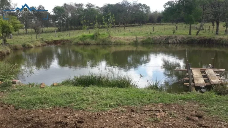 Imagem Chacara de 1,5 alqueires à venda localizado no Distr. de São Roque Sta Helena -