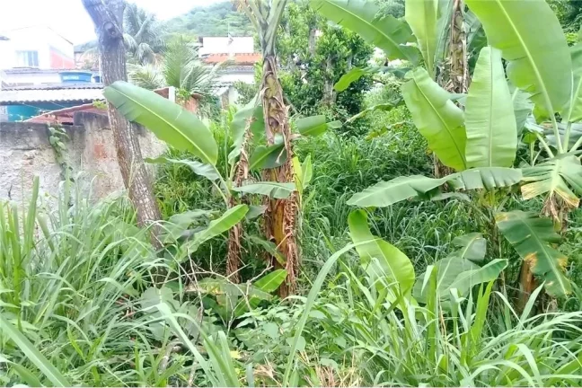 Imagem "Terreno 330,6 m² em Campo Grande para venda