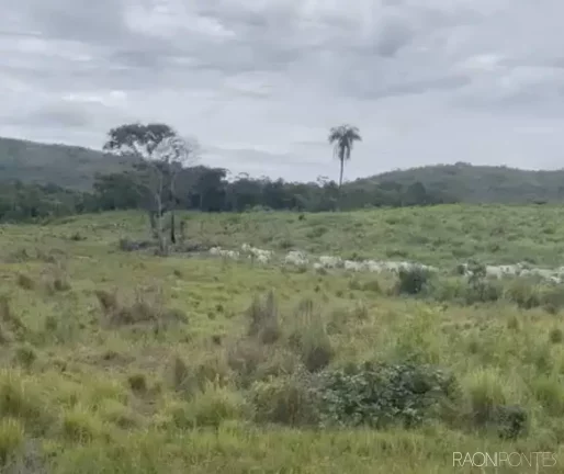 Imagem Fazenda à Venda, 11.470.800 m² em Zona Rural - Paranã