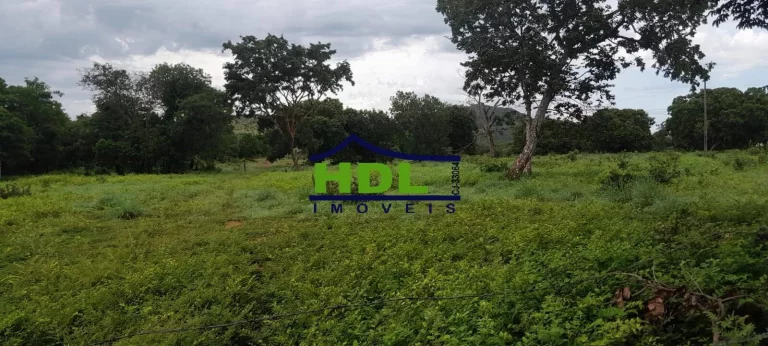 Imagem Fazenda 240 Alqs Dupla Aptidão em Peixe TO