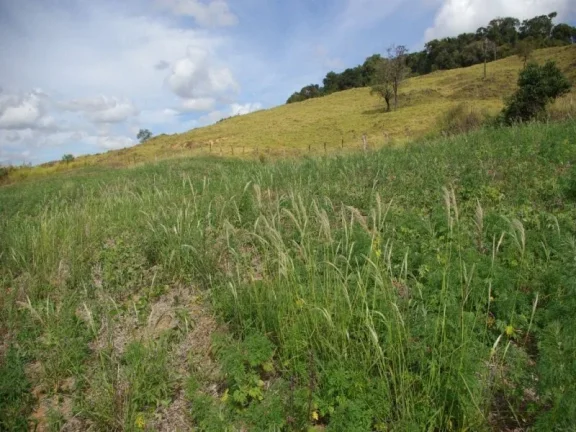 Imagem SÍTIO À VENDA 43,56 HECTARES R$ 1.900.000 - ZONA RURAL - JACUI/MG
