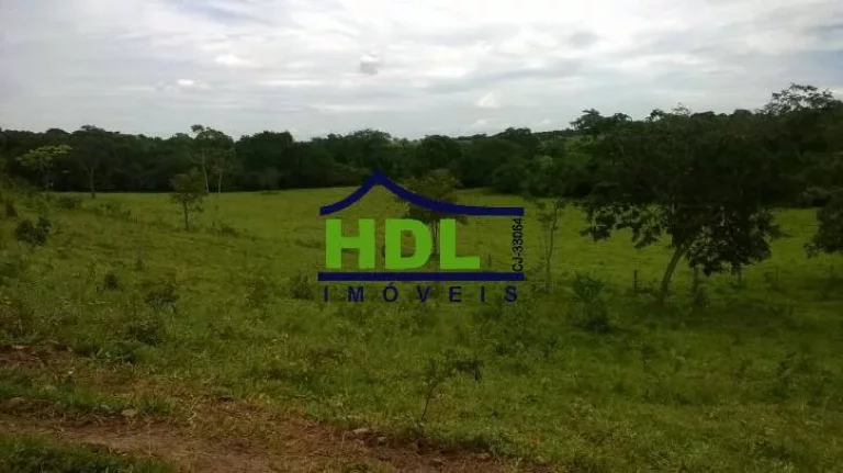 Imagem FAZENDA 38,5 ALQS TRIPLA APTIDÃO MUITA ÁGUA EM PIRACANJUBA - GO.