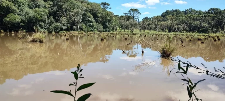 Imagem TERRENO RURAL em CAMPO BELO DO SUL - SC, Área Rural