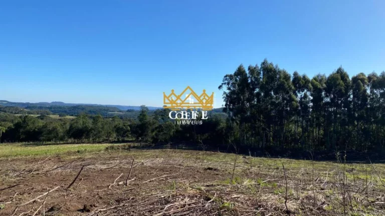 Imagem Chácara - Sítio com 2 Dormitorio(s) localizado(a) no bairro Serra Grande em Gramado / RIO GRANDE DO SUL Ref.:1350