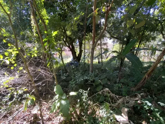 Imagem Terreno com 990 m2 no Bairro Boa Morte – Ideal para investimento ou grandes projetos