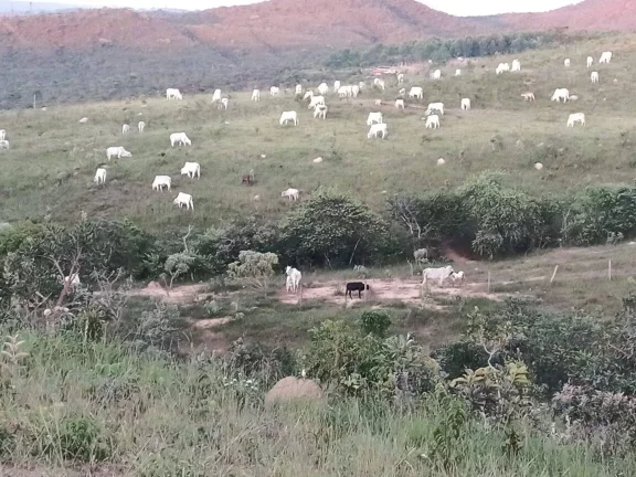 Imagem FAZENDA EM EM ABADIÂNIA DE GOIÁS