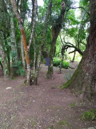 Imagem CHÁCARA EM CAMPO LARGO COM 8.655,80M2.
Belíssima Chácara com 8.655,80 m2,localizada em região no...
