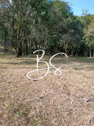 Imagem AREA RURAL em CANELA - RS, São Lucas