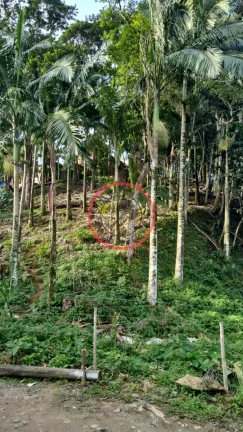 Imagem Terreno 411.38 mt