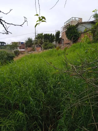 Imagem Área no Campo do Santana - Ideal para Construção de Casas - R$2100000,00