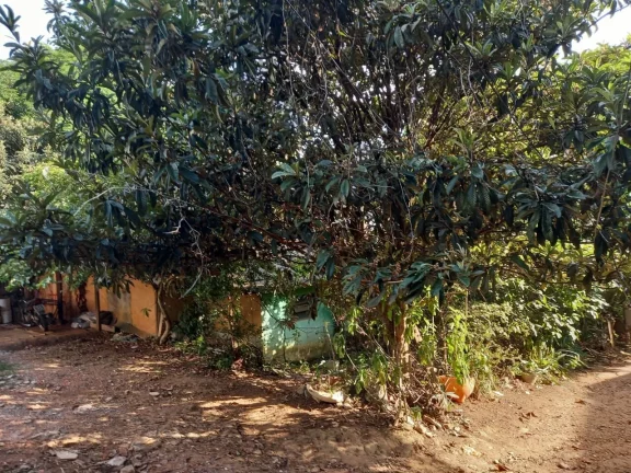 Imagem TERRENO PARA CONSTRUÇÕES DE PRÉDIOS