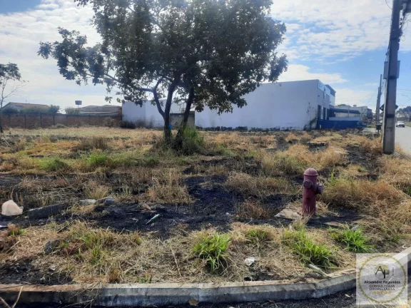 Imagem Área para Venda em Aparecida de Goiânia, Independência
