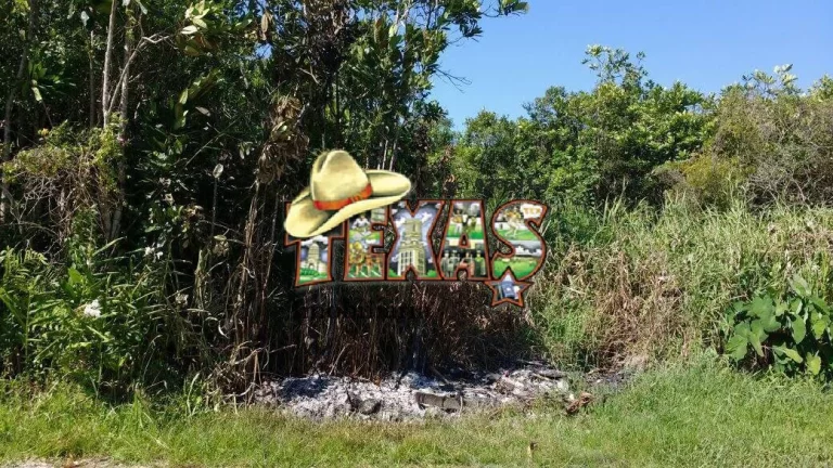 Imagem TERRÉNO PARA VENDA EM MONGAGUÁ