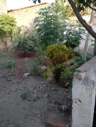 Imagem Casa 3/4 no Parque Ipe