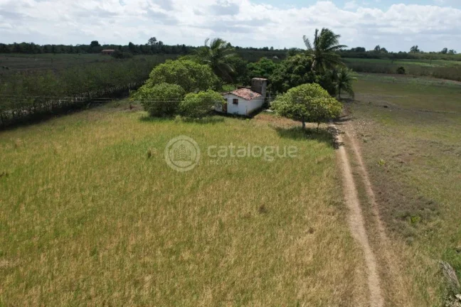 Imagem Chacara a venda completa e produtiva em Sao jose de mipibu