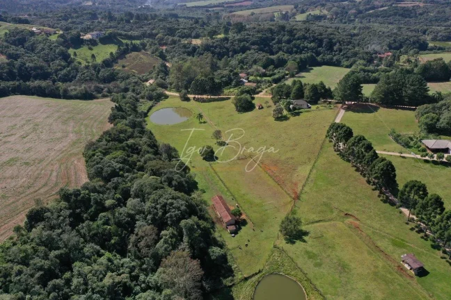 Imagem Chácara em Campo Largo com lago a venda
