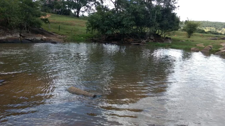 FAZENDA A VENDA EM ORIZONA-GO