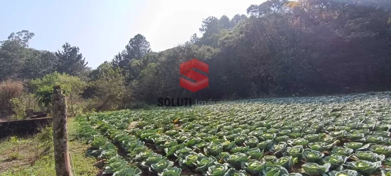 Imagem Chácara com 48.852m2 a 1Km do Alphaville Paraná em região de alto padrão