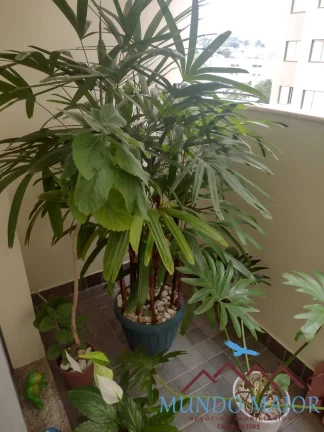 Imagem Apartamento com 3 Quartos e 3 banheiros à Venda, 89 m por R$ 543.000.00!