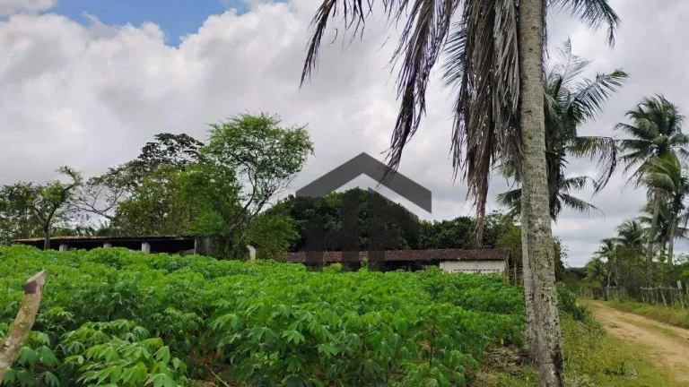 Imagem Terreno à Venda, 5.000 m² em Centro - Paudalho