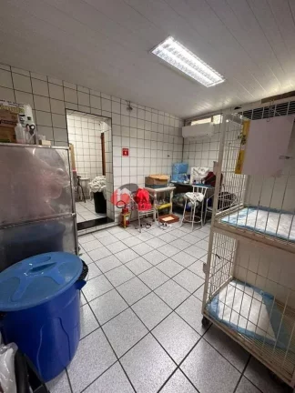 Imagem Casa para locação, Santa Maria, São Caetano do Sul, SP