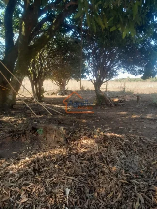 Imagem Sítio à venda no bairro BRUMADO - Mogi Mirim/SP