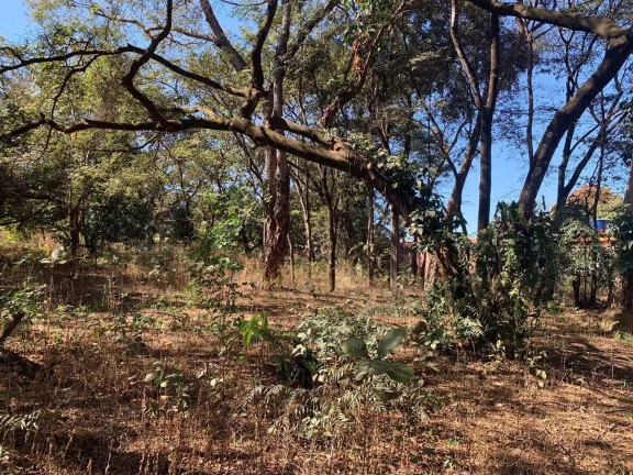 Imagem ÁREA A VENDA , TOTAL DE 11 LOTES, BAIRRO SATÉLITE EM JUATUBA!!