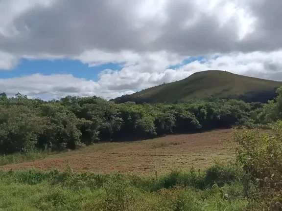 Imagem Oportunidade Única: Terreno de 5.500m2 em Campolide