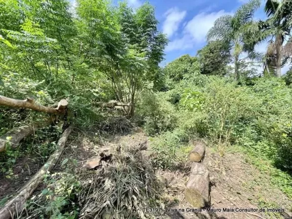Imagem Lote Bolsão FECHADO no Miolo da Granja Viana!