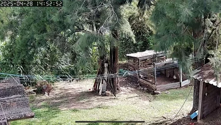 Imagem Chácara para Venda em São Pedro, --------------, 1 dormitório, 1 banheiro, 10 vagas