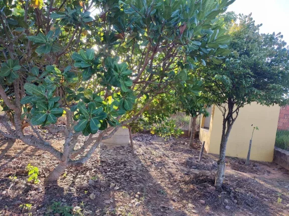 Imagem Chácara com 3 dormitórios à venda, 1000 m² por R$ 440.000,00 - Jardim Porto - Capela do Alto/SP