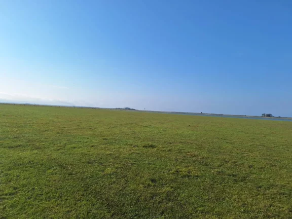 Imagem Excelente Área de 130 Hectares para Cultivo de Arroz – Viamão/RS