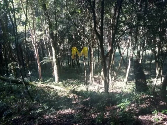 Imagem Chácara, 7000m2, à venda no Recreio da Serra em Piraquara!!!