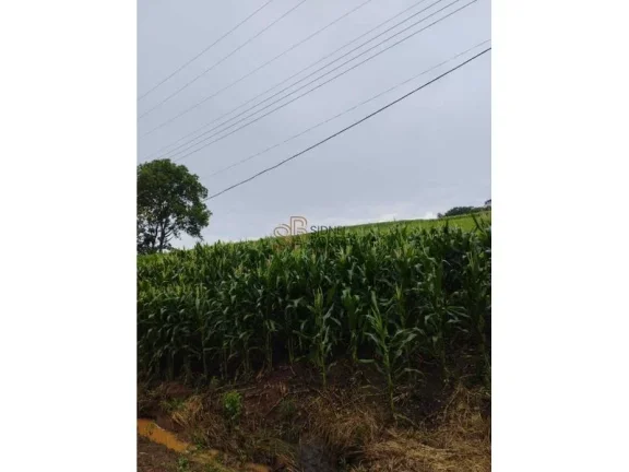 Imagem Sítio LINDÓIA DO SUL - SC