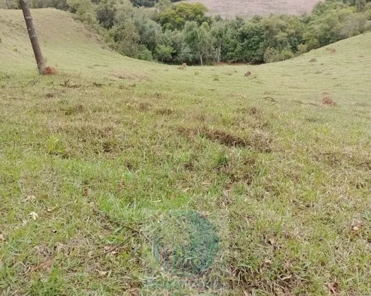 Imagem Sítio 20 ha ou 8,26 alq. a venda, para café, gado Jacui Sul de Minas Gerais