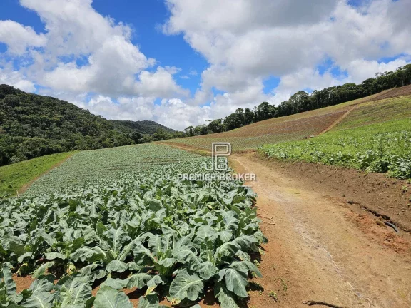 Imagem Sítio à venda, 940000 m² por R$ 4.700.000,00 - Vieira - Teresópolis/RJ