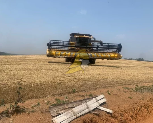 Imagem FAZENDA PRODUTIVA À VENDA 90 KM DE SP EM SÃO ROQUE PODE CONSTRUIR CONDOMÍNIO FECHADO 8 KILOMETROS MAGEANDO A REPRESA 120 ALQUEIRES ÁREA PLANA