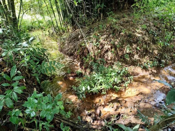 Imagem Terreno à venda no bairro Jardim Colonial - Atibaia/SP
