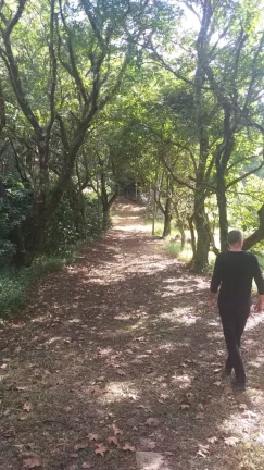 Imagem Sítio - Venda em Cabreúva e Região/SP