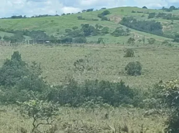 Imagem Fazenda 10 Alqueires à Venda em Luziânia, Goiás!